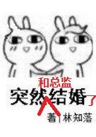 突然和总监结婚了by林知落讲什么