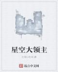 星空大领主高伤害攻略