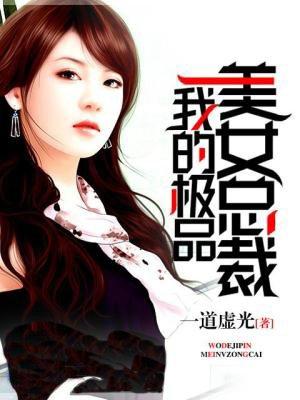 我的极品美女总裁林铬笔趣阁