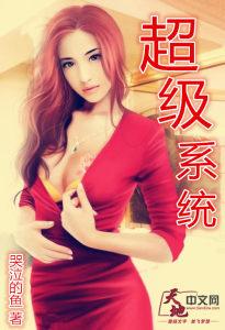 公安六个超级系统
