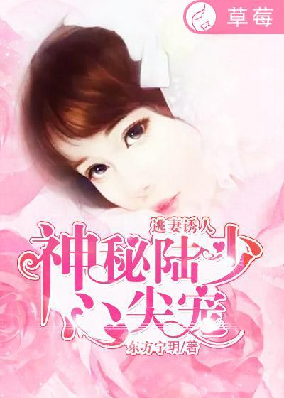 逃妻入怀