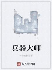 武器大师皮肤排行