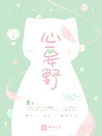 心要野贝斯谱