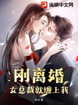 女总裁就缠上我免费阅读