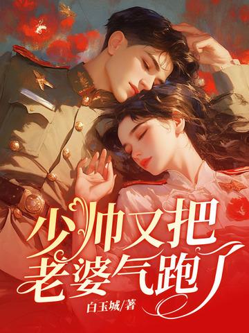 少帅的老婆又跑啦