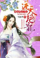 逆天绝宠邪帝的杀手妃txt百度