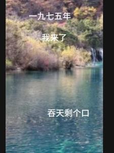 重生一九七几年的