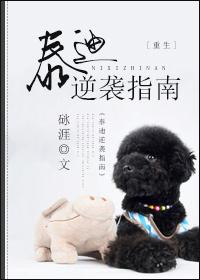 泰迪逆袭指南车在第几章