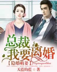 隐婚萌妻:总裁,我要离婚